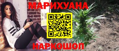 крисы Гусев