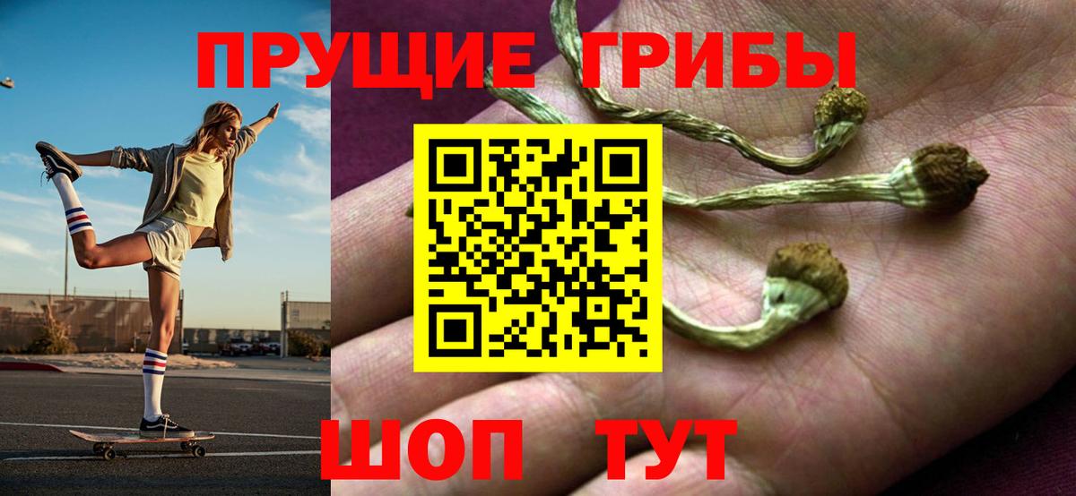 Галлюциногенные грибы прущие грибы Будённовск
